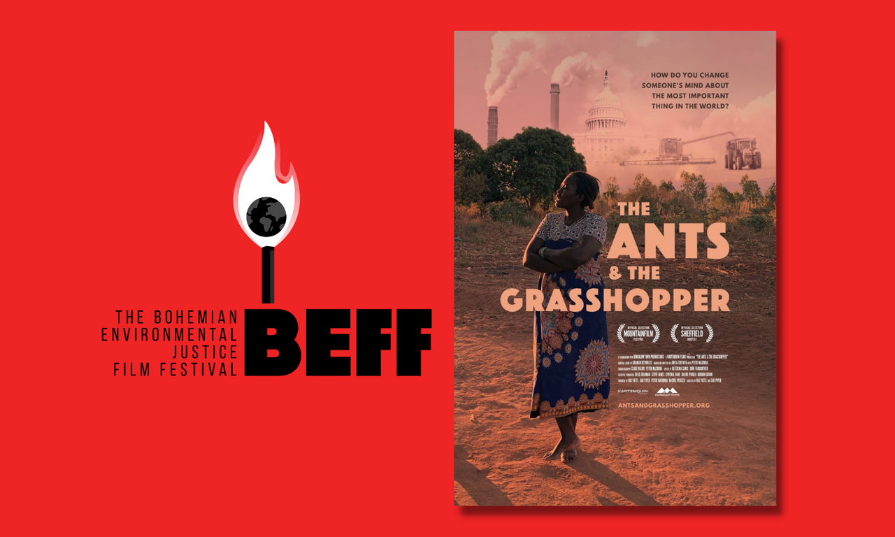 header image for The Ants and the Grasshopper