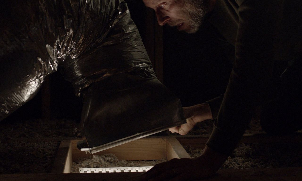 header image for Crawlspace