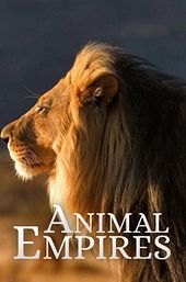 Animal Empires