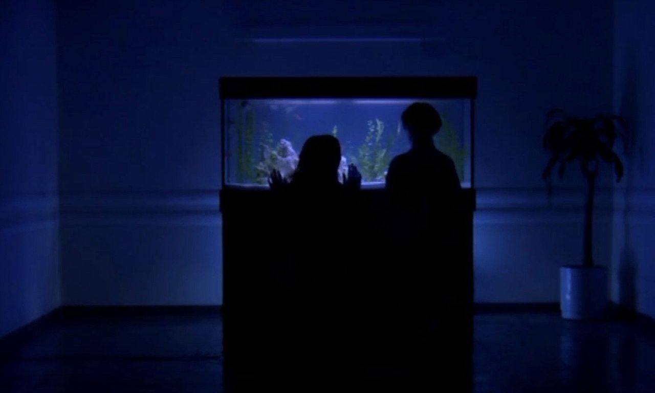 header image for Puls