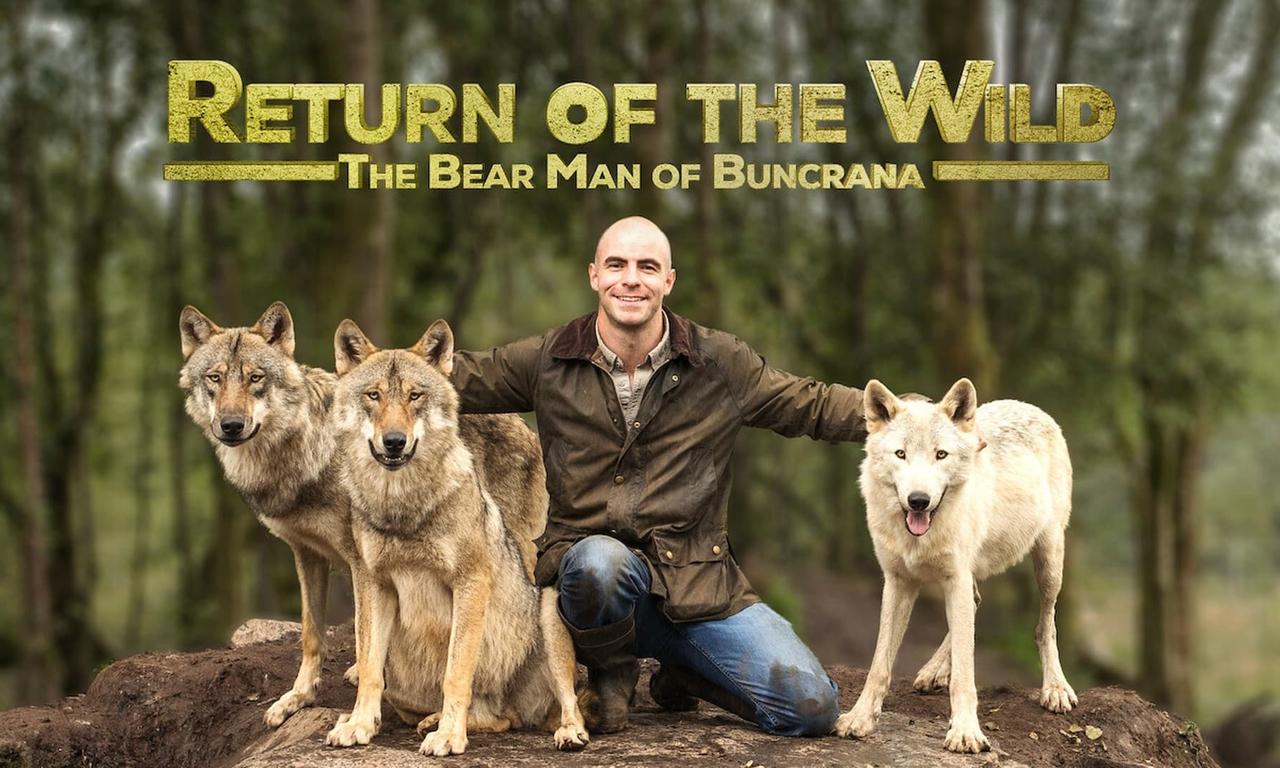 header image for Return of the Wild: The Bearman of Buncrana