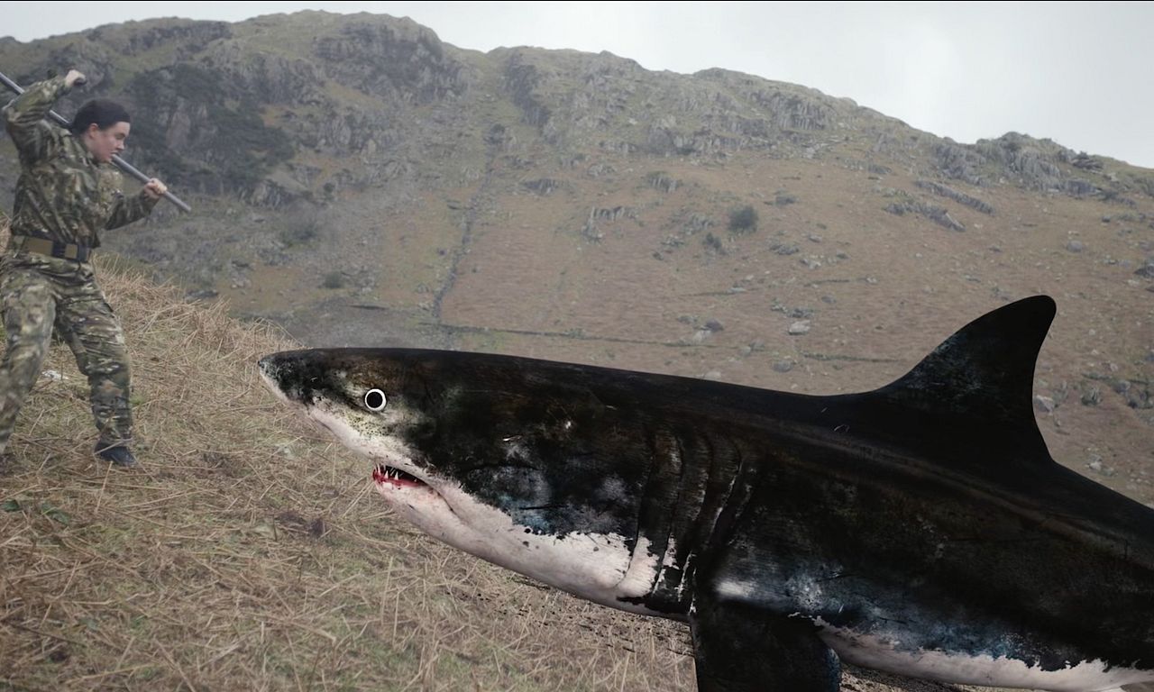 header image for Mountain Shark
