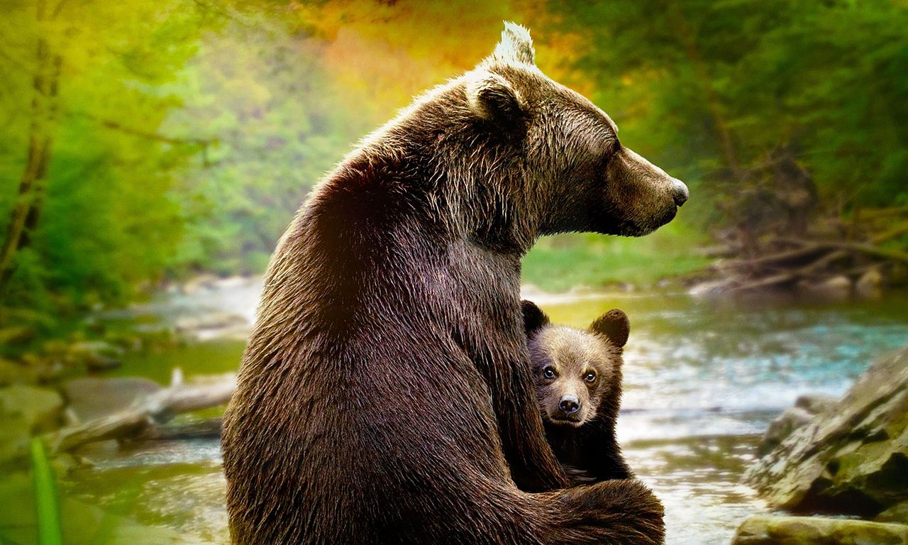 header image for Growing Up Animal