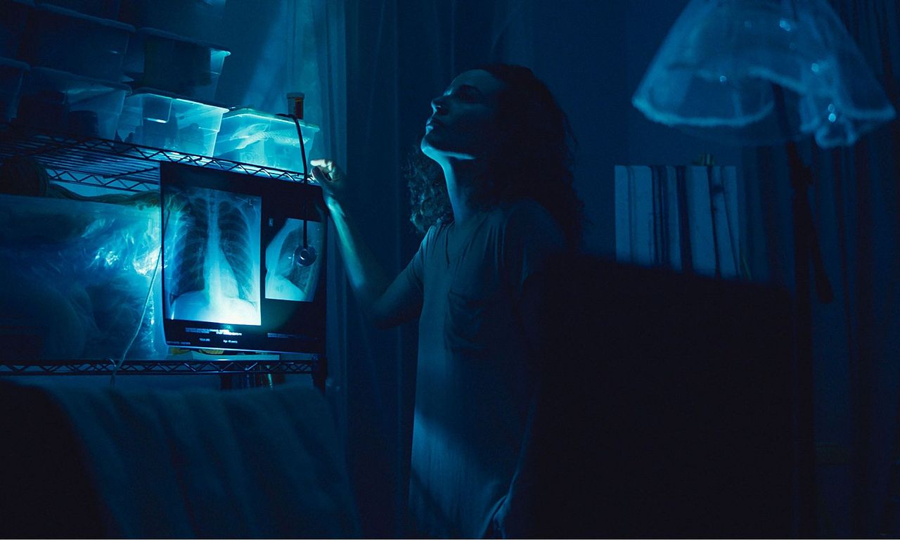 header image for The Fishbowl