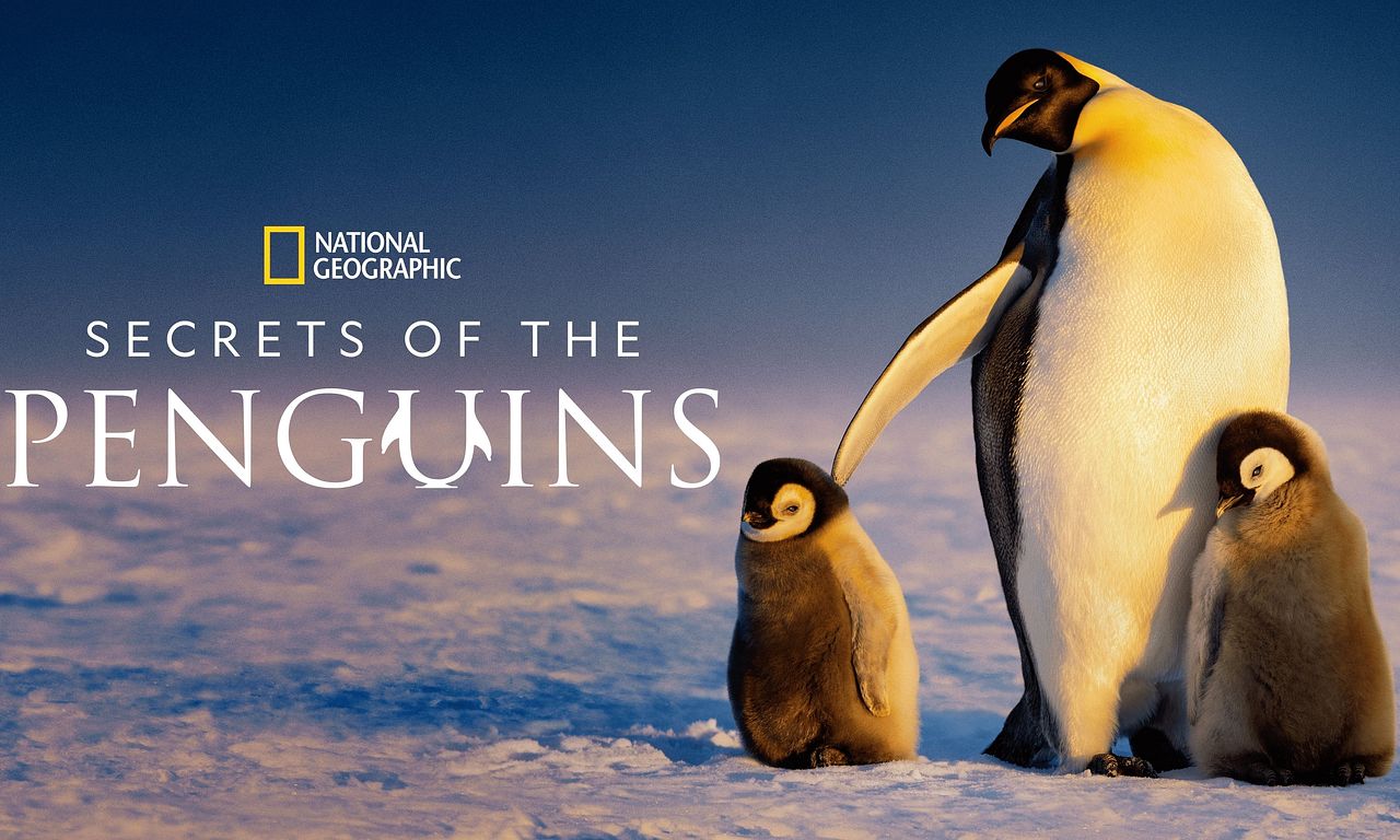header image for Secrets of the Penguins