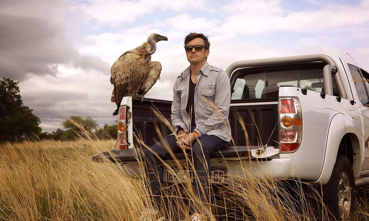 header image for Richard Hammond's Miracles of Nature