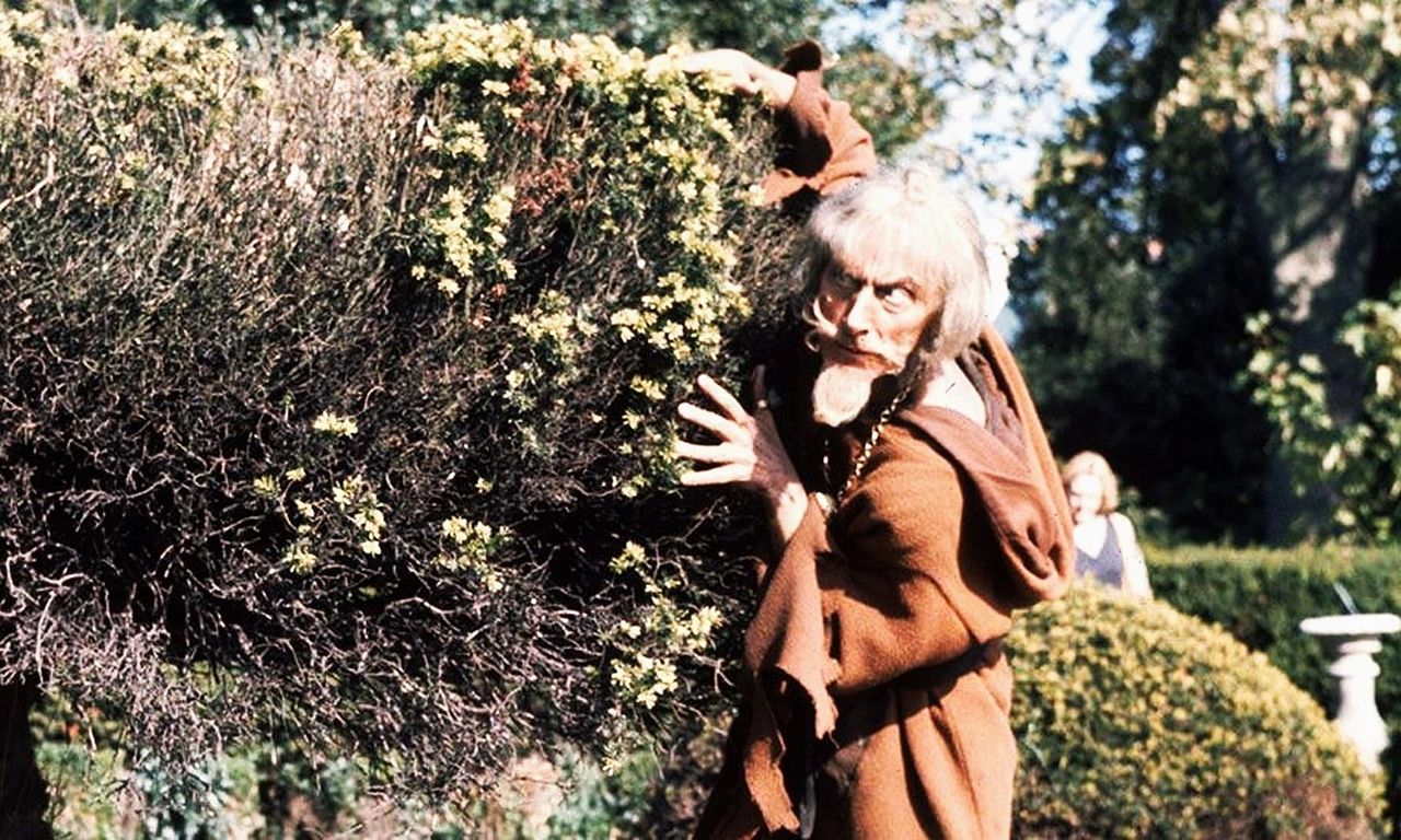 header image for Catweazle