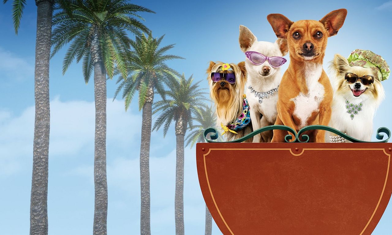 header image for Beverly Hills Chihuahua