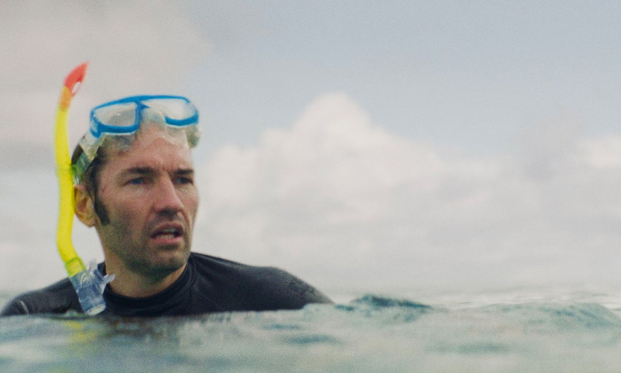 header image for Shark