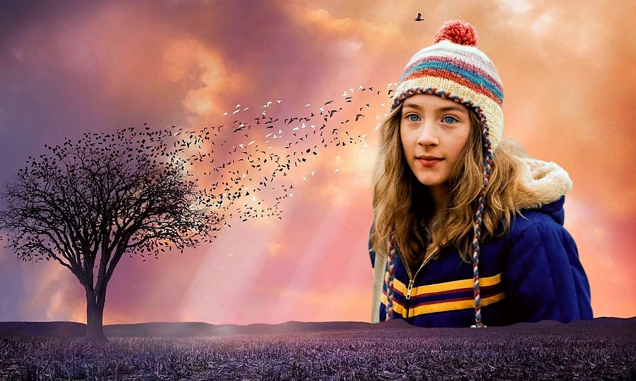 header image for The Lovely Bones