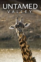 Untamed Valley