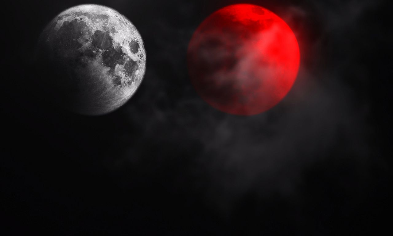 header image for Not All Movies Are the Same: Dual