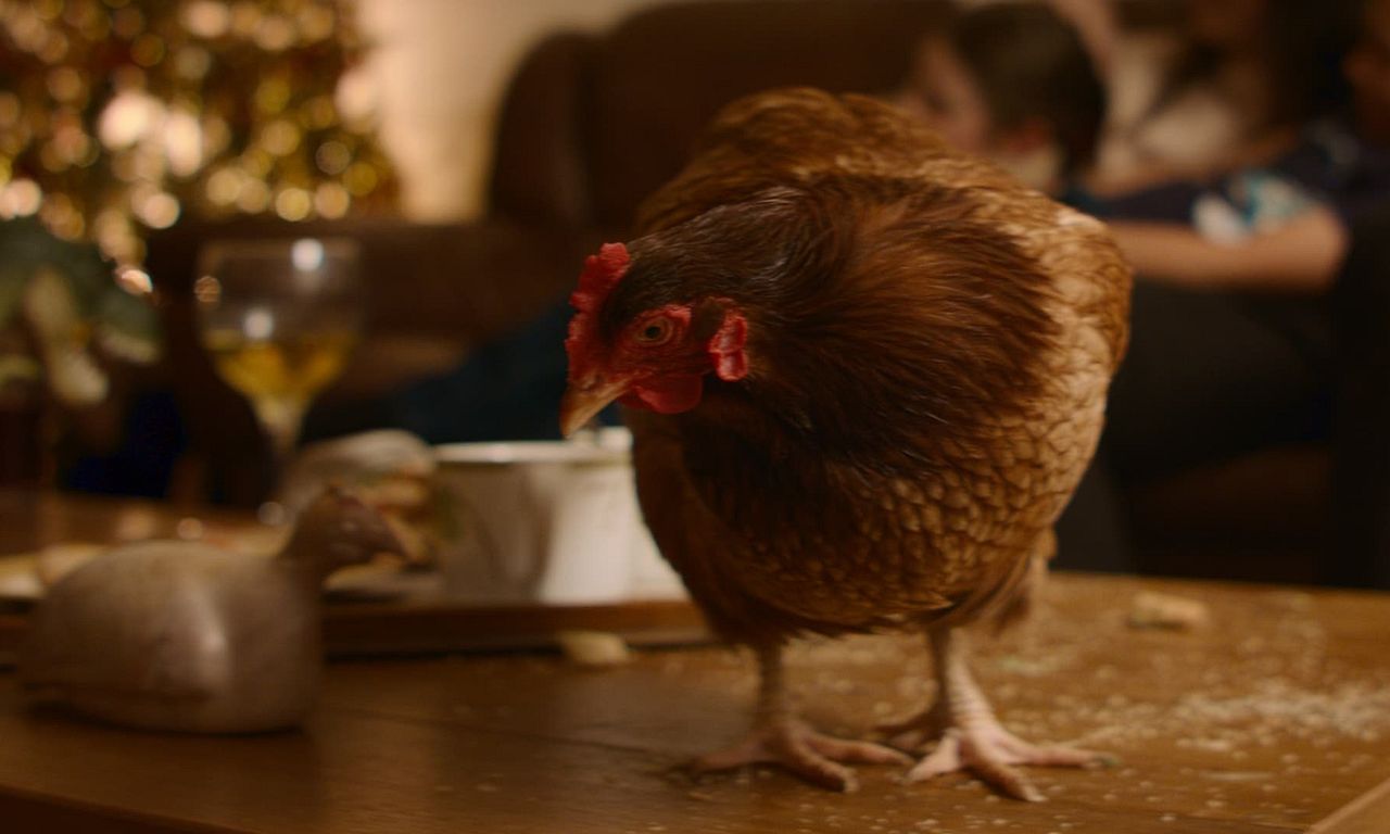 header image for Feather Christmas