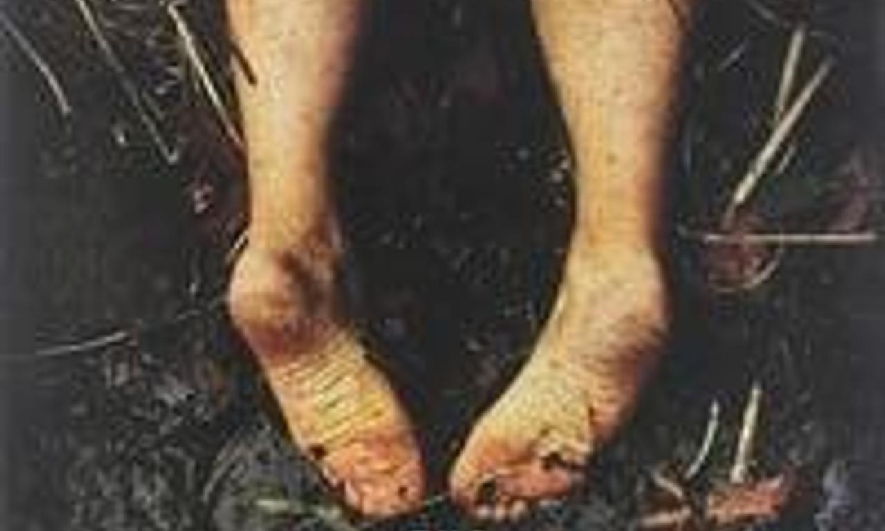 header image for The Livingston Gardener