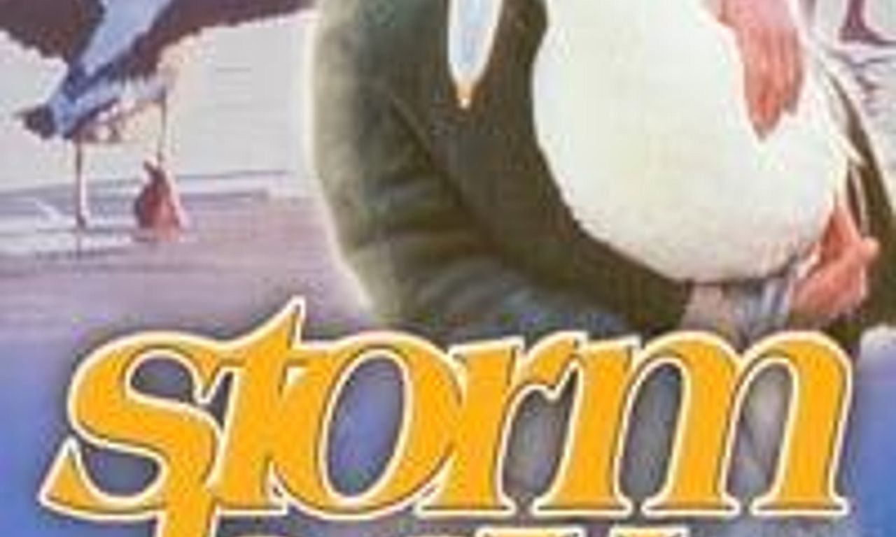 header image for Storm Boy