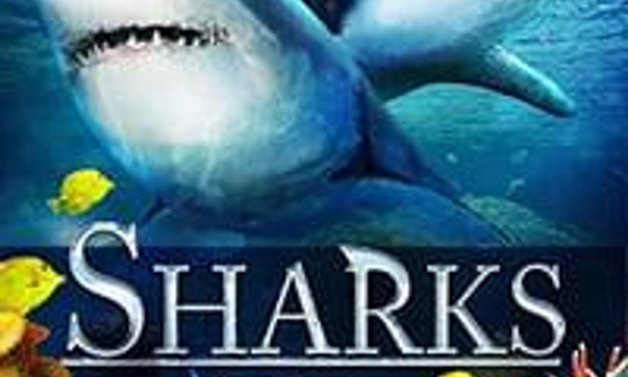 header image for Sharks (in 3D)