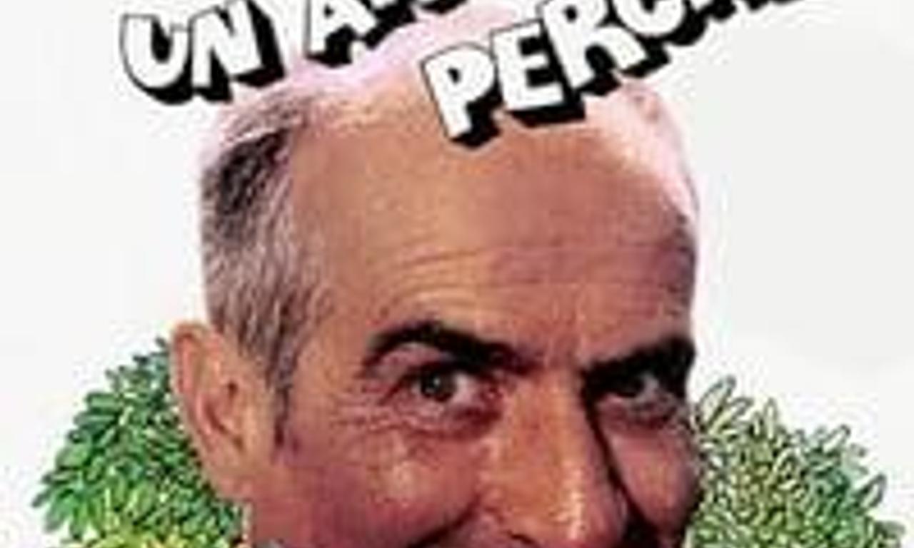 header image for Perched on a Tree