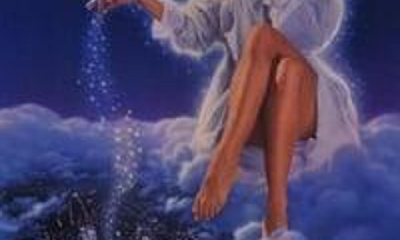 header image for The Butcher's Wife