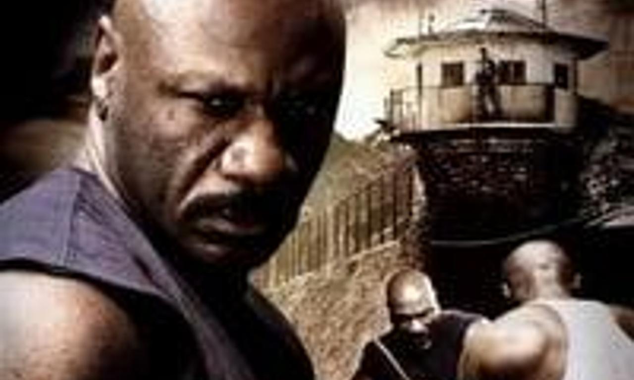 header image for Animal 2