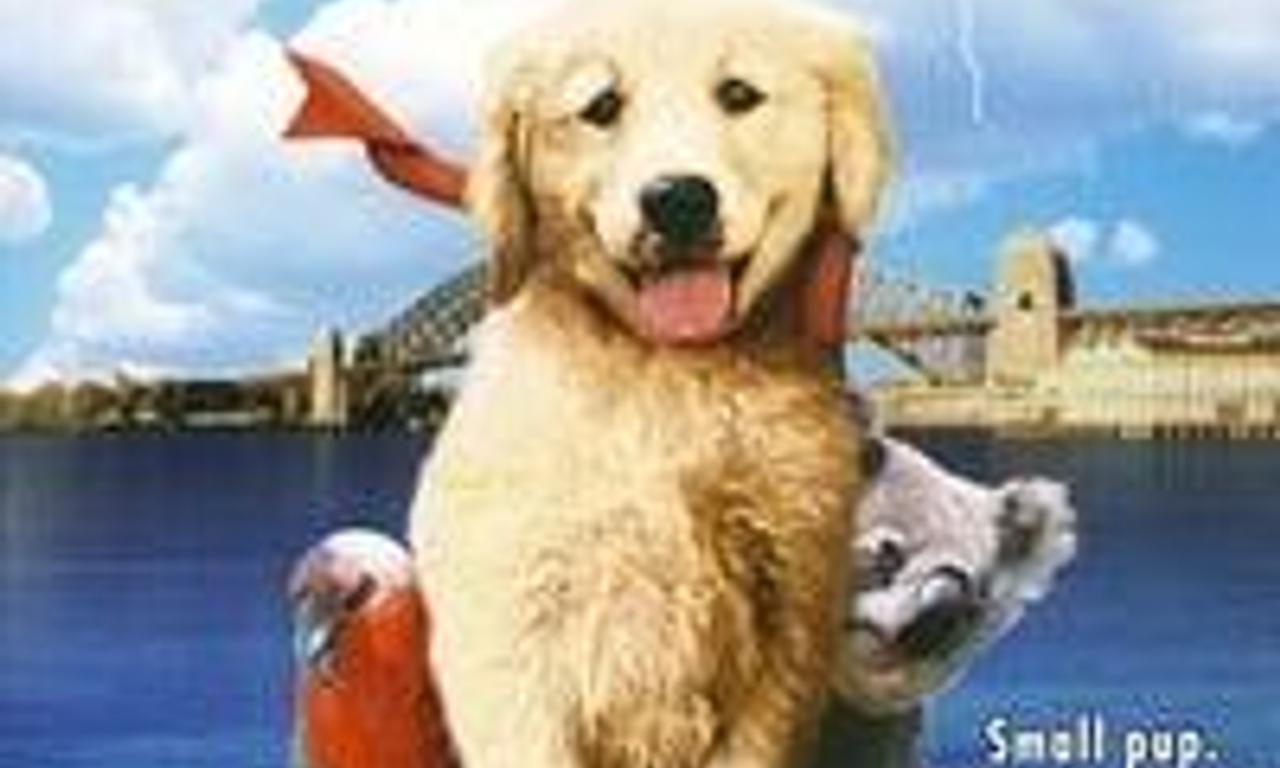 header image for Napoleon