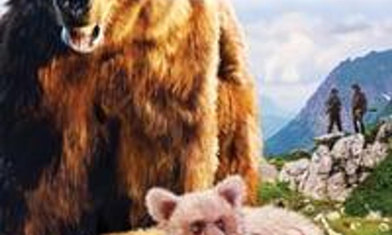 header image for The Bear