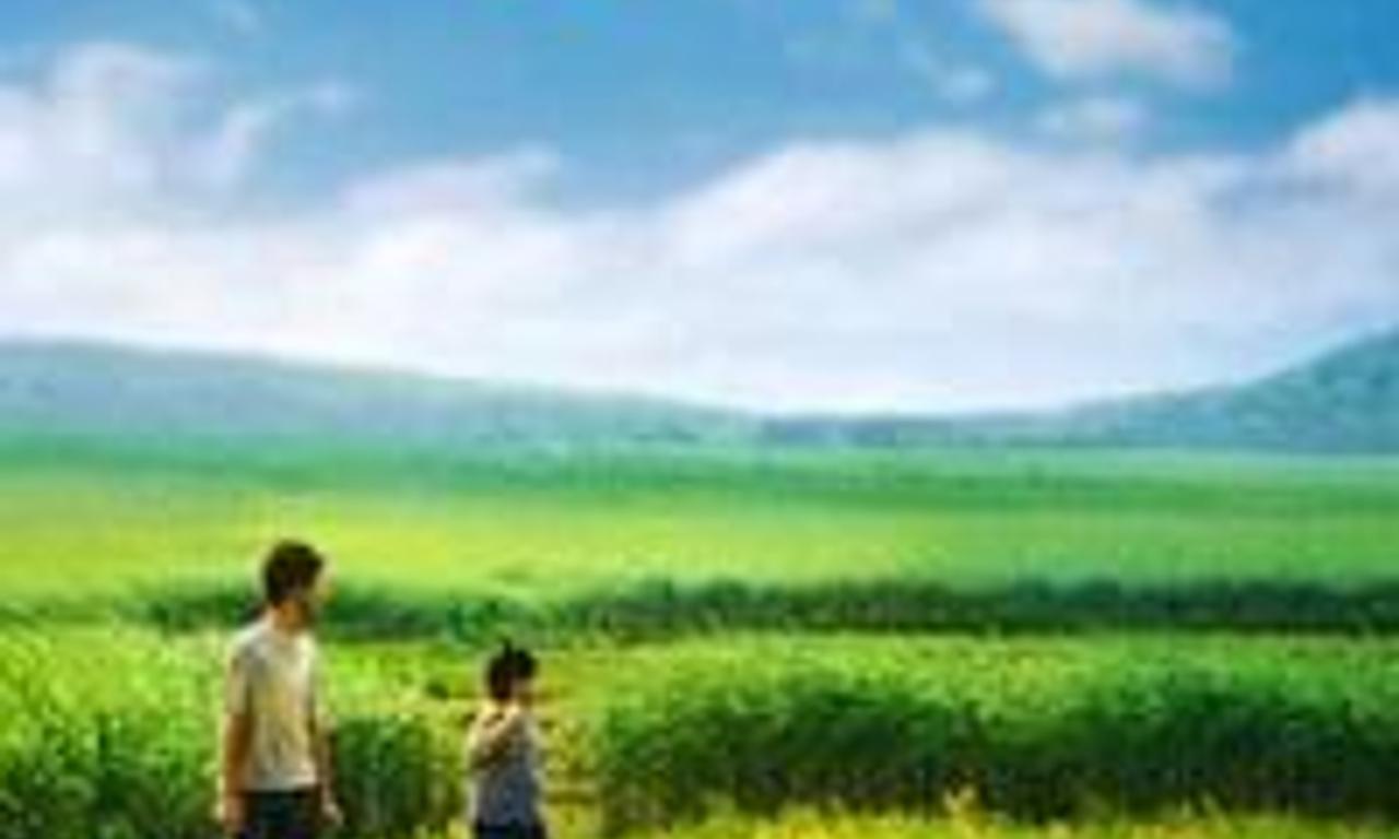 Yellow Flowers On Green Grass Where to Watch and Stream Online