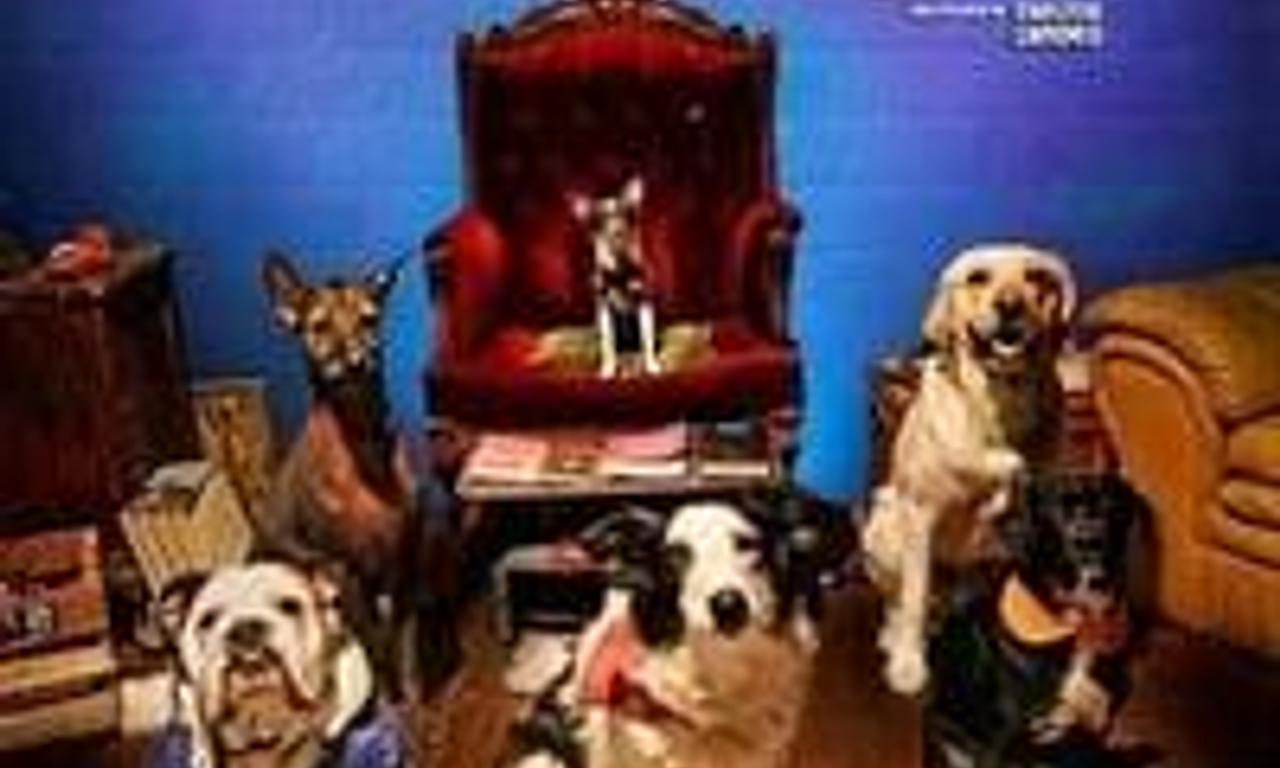 header image for De patitas a la calle