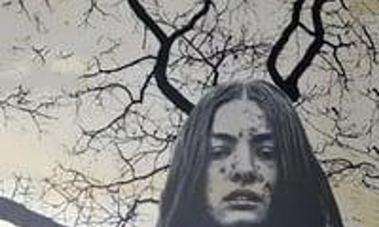 header image for The Wishing Tree