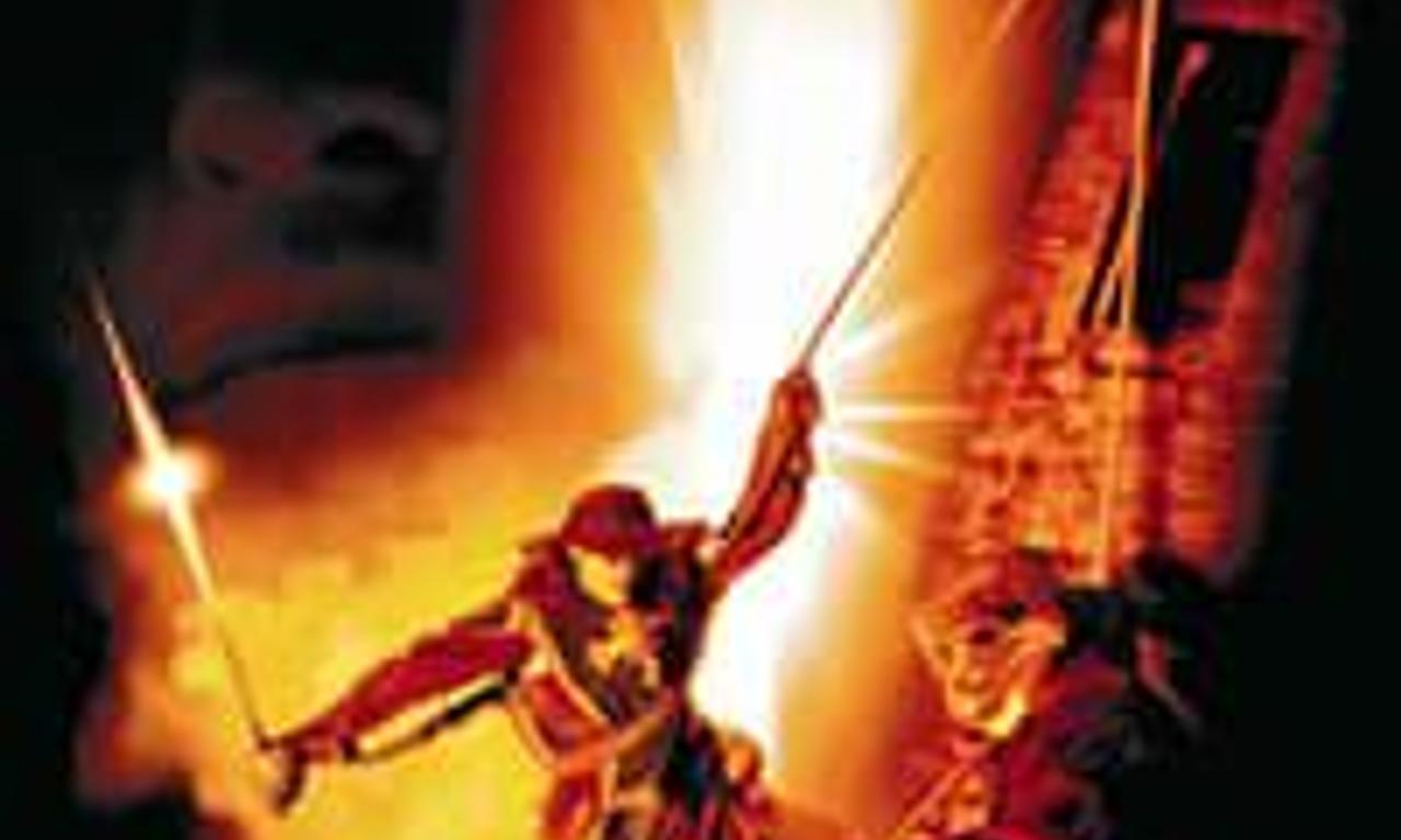 header image for The Musketeer