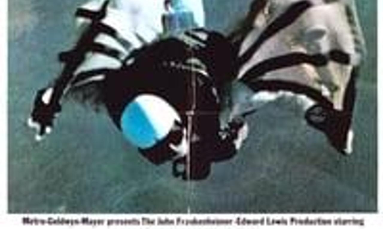 header image for The Gypsy Moths