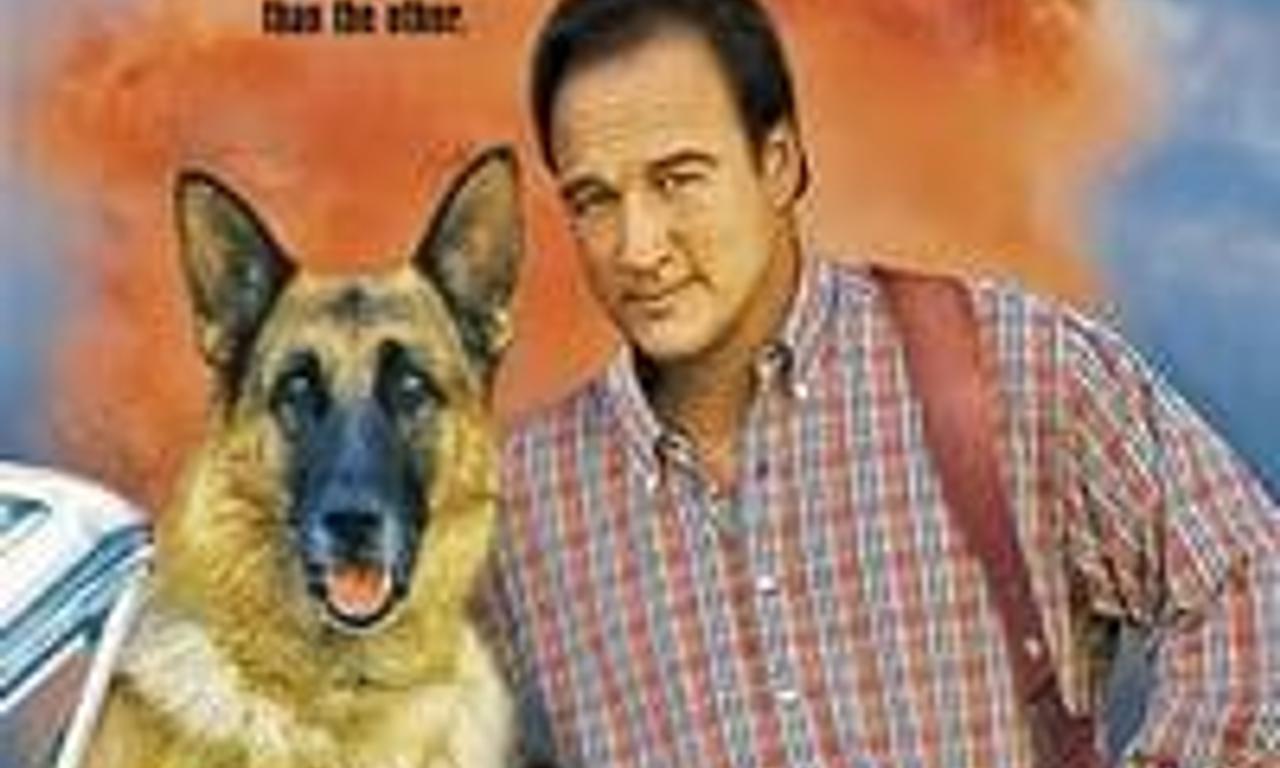 header image for K-911