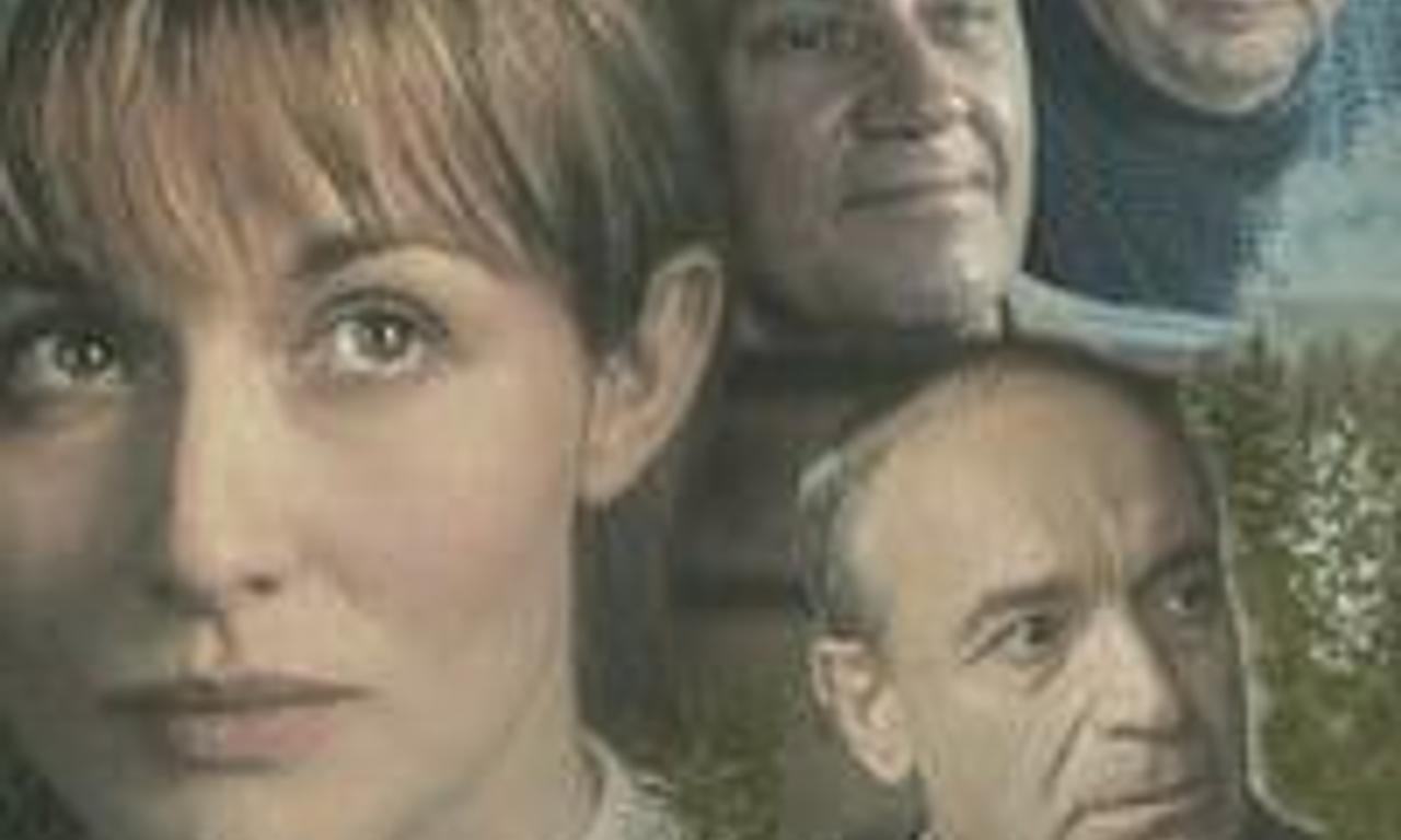 header image for Sympathy Seeker