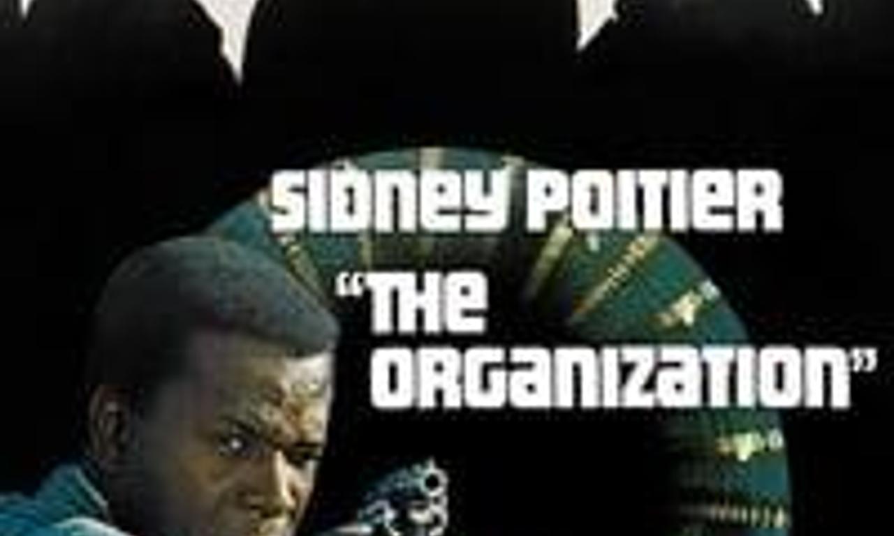 header image for The Organization