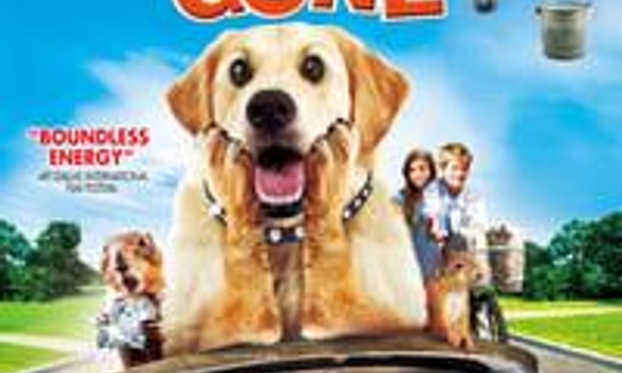 Dog Gone Where to Watch and Stream Online Entertainment.ie