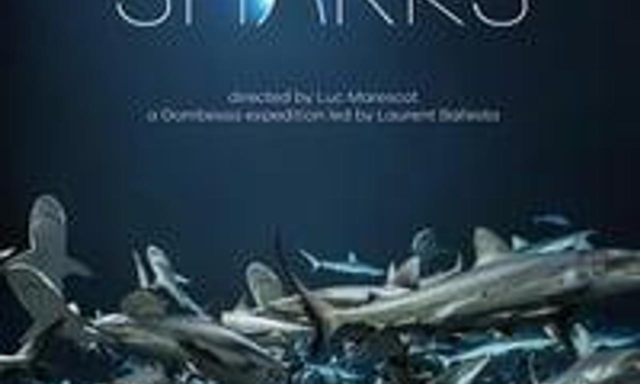 header image for 700 Sharks