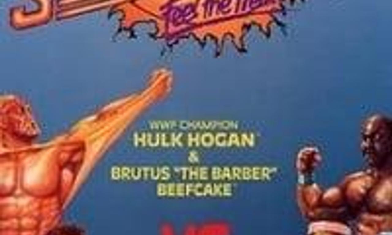 header image for WWE SummerSlam 1989