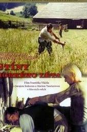 Shadows of a Hot Summer