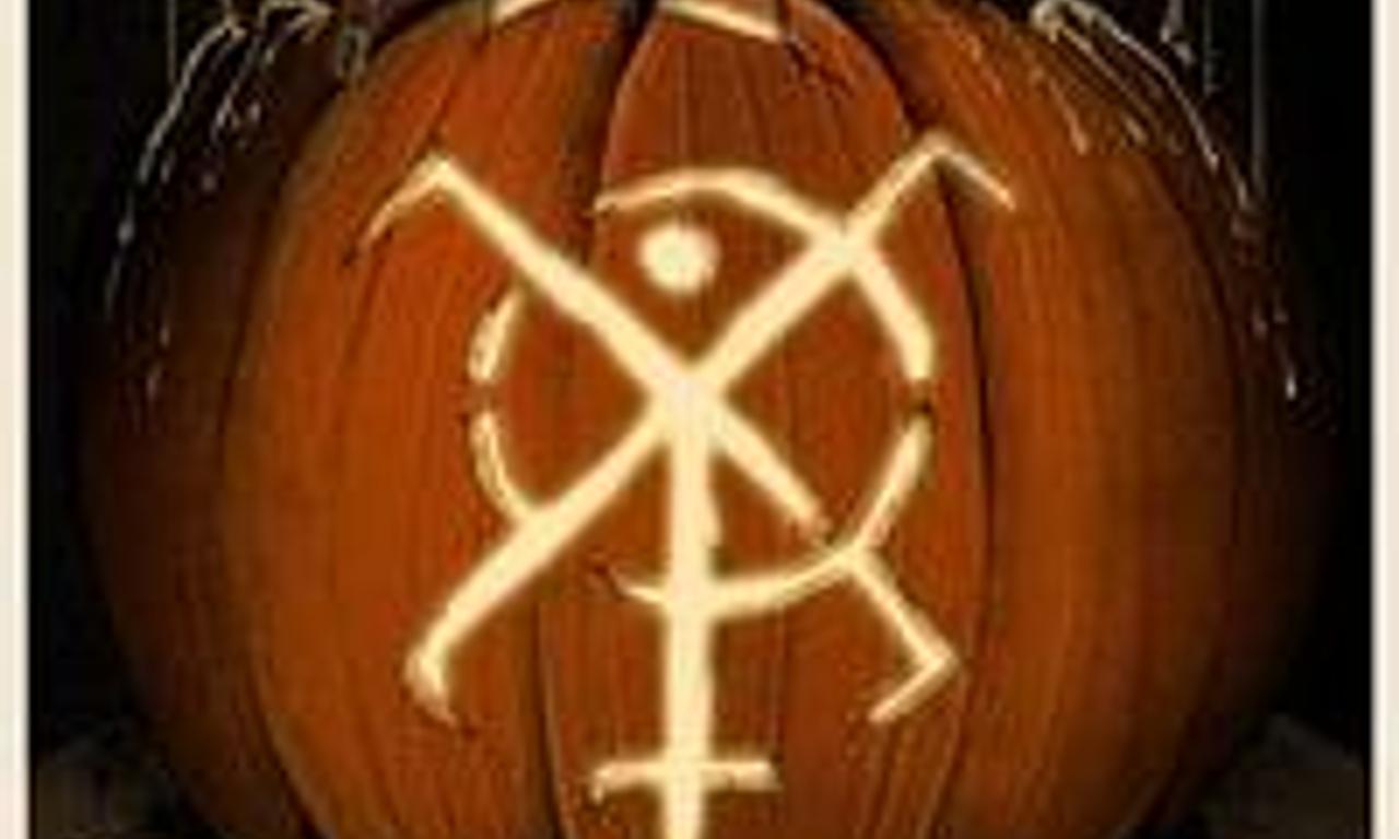 header image for Honeyspider