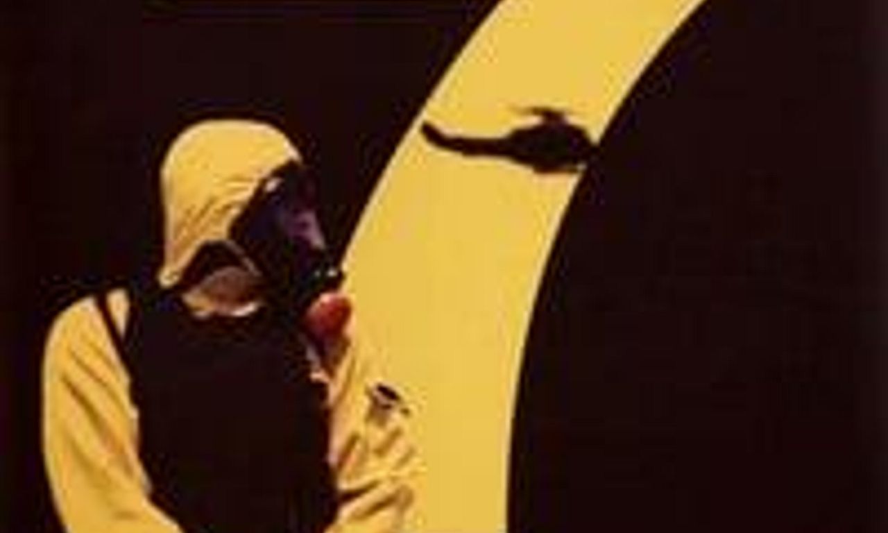 header image for Phase 7