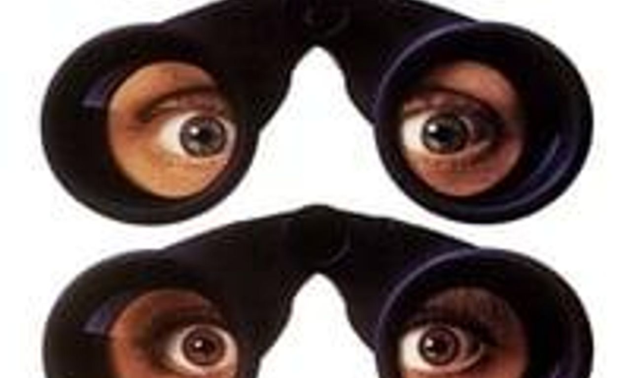 header image for Another Stakeout