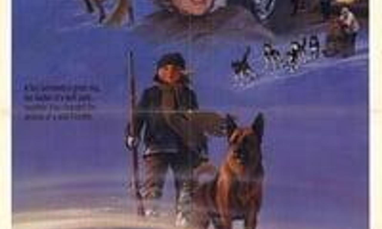 The Great Adventure Where to Watch and Stream Online Entertainment.ie