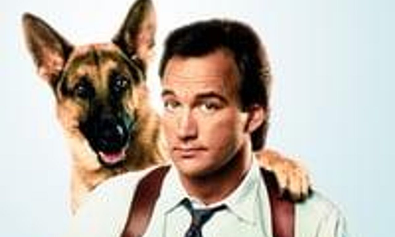 header image for K-9