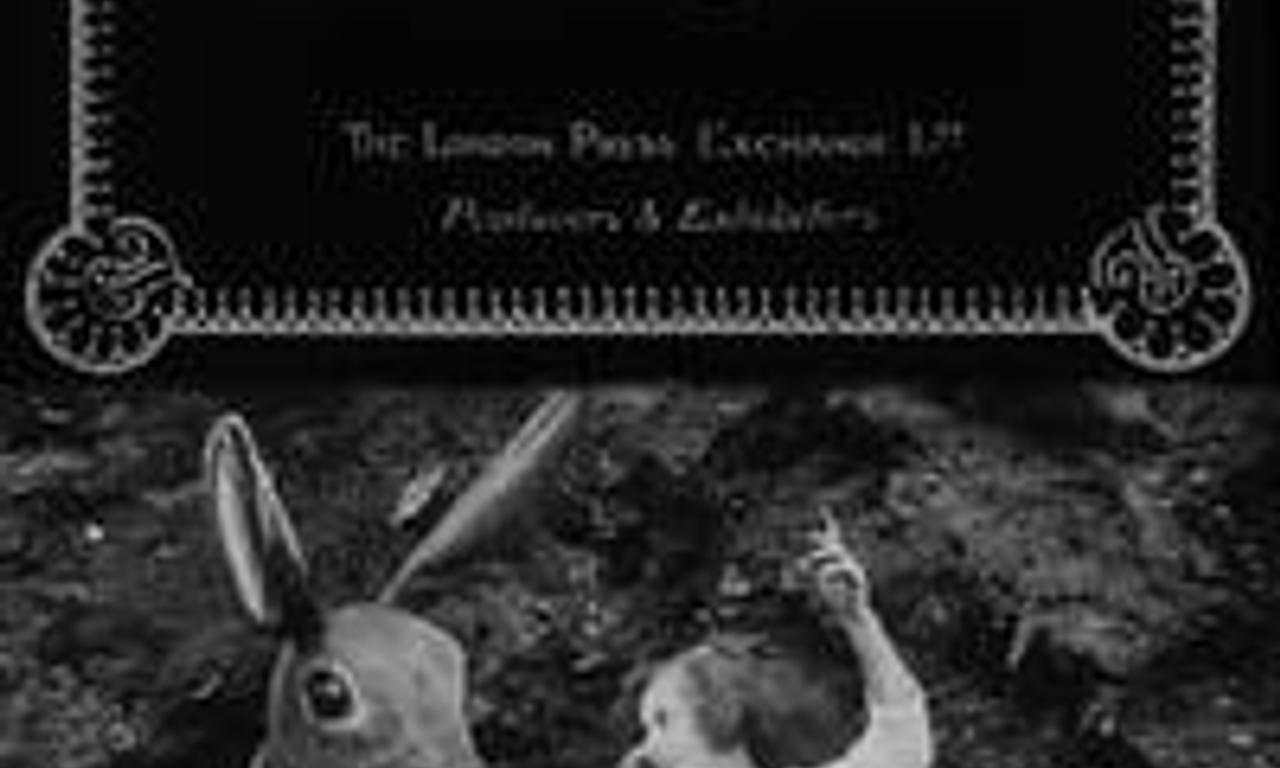 Elsie and the Brown Bunny Where to Watch and Stream Online Entertainment.ie