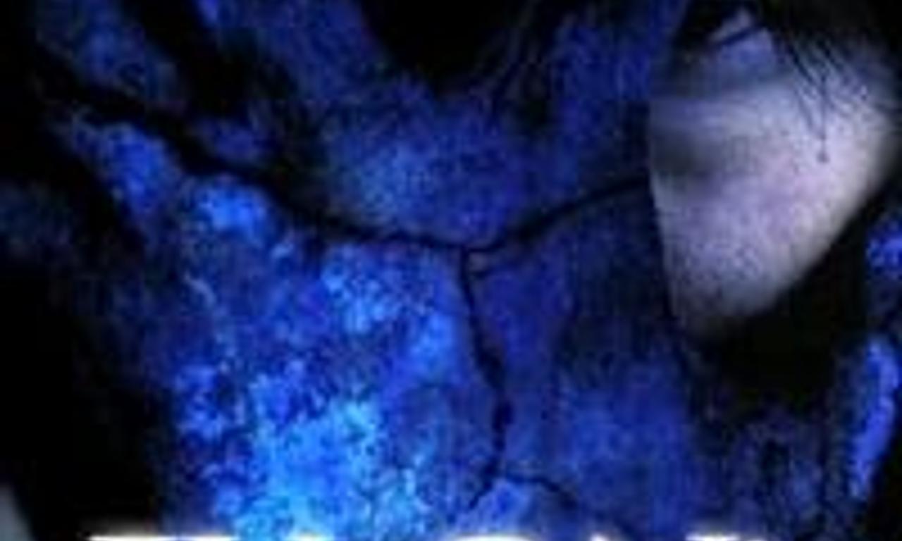 header image for Ju-on: The Curse 2