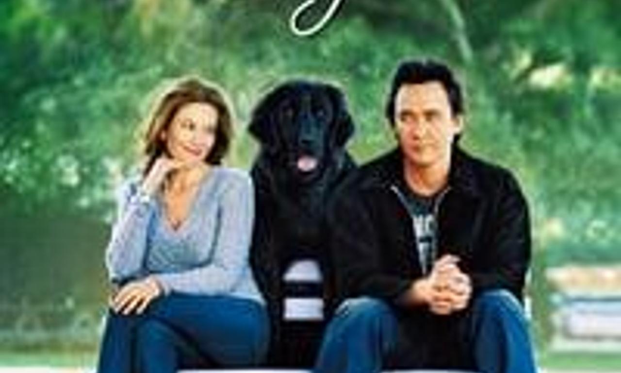 header image for Must Love Dogs