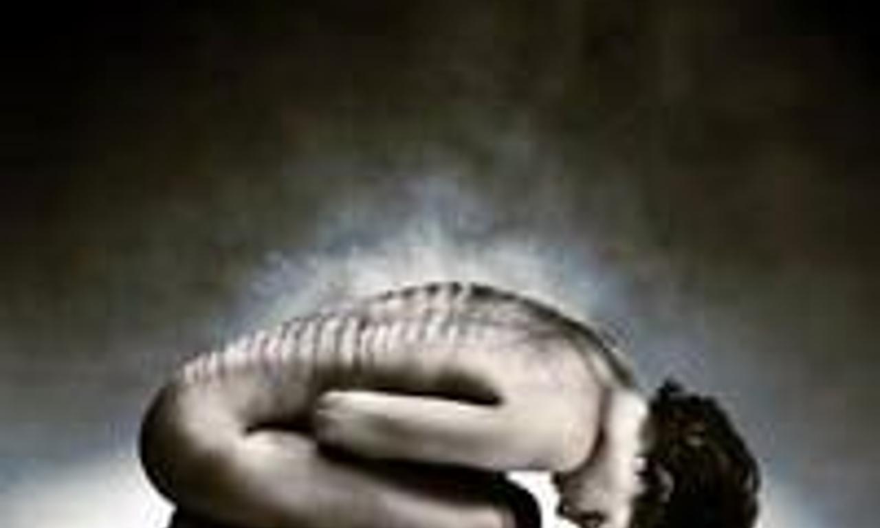 header image for Growth