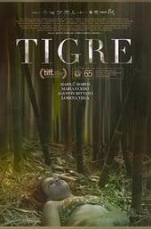 Tigre