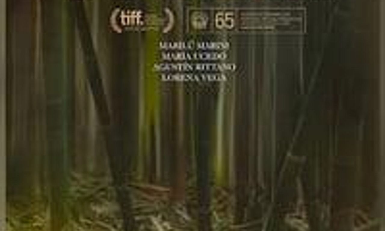 header image for Tigre