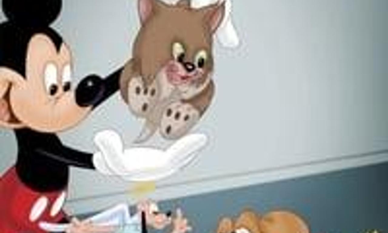 header image for Lend a Paw