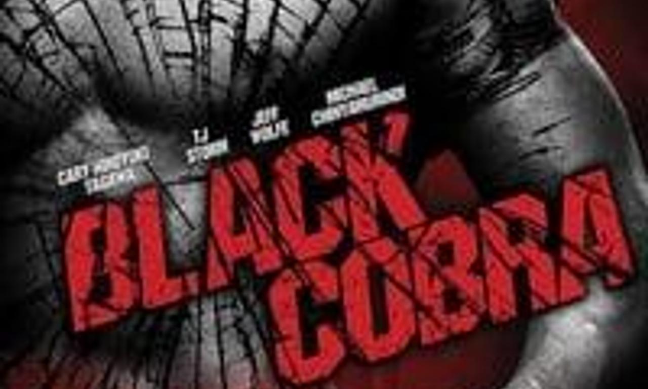 header image for When the Cobra Strikes